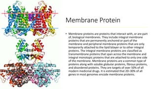 Protein Structure and Function | PPTX