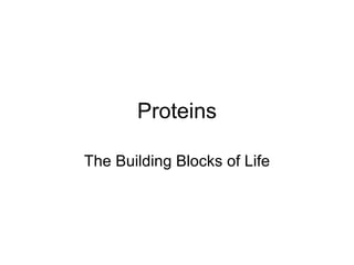 Proteins The Building Blocks of Life 