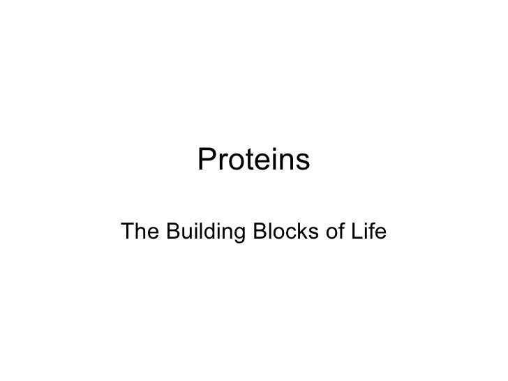 Proteins