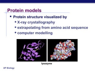 Proteins | PPT