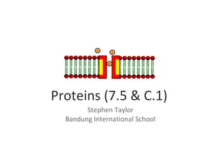 Proteins (AHL & C.1)