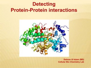 Detecting
Protein-Protein interactions

Salman Ul Islam (MS)
Cellular Bio Chemistry Lab

 