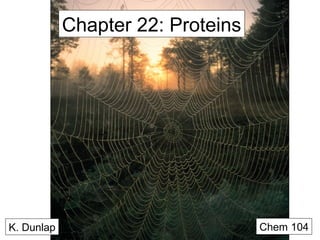 Chapter 22: Proteins

K. Dunlap

Chem 104

 