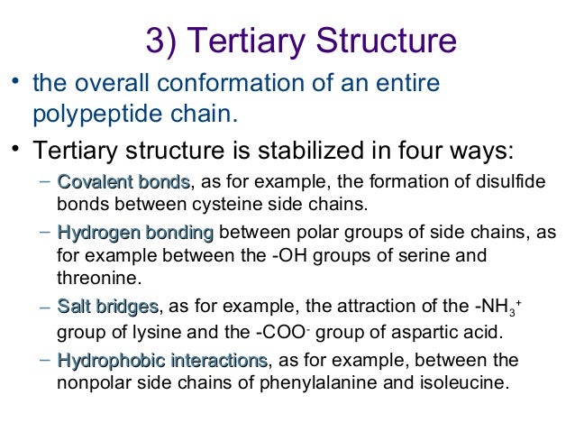 tertiary bridges of proteins in salt structure Proteins tertiary bridges of proteins in salt structure Proteins