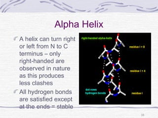 33
Alpha Helix
A helix can turn right
or left from N to C
terminus – only
right-handed are
observed in nature
as this produces
less clashes
All hydrogen bonds
are satisfied except
at the ends = stable
 