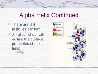 34
Alpha Helix Continued
There are 3.6
residues per turn
A helical wheel will
outline the surface
properties of the
helix
 