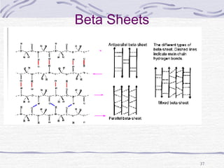 37
Beta Sheets
 