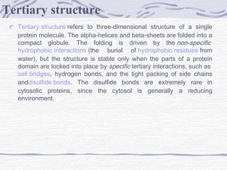 Tertiary structure refers to three-dimensional structure of a single
protein molecule. The alpha-helices and beta-sheets are folded into a
compact globule. The folding is driven by the non-specific 
hydrophobic interactions (the burial of hydrophobic residues from
water), but the structure is stable only when the parts of a protein
domain are locked into place by specific tertiary interactions, such as 
salt bridges, hydrogen bonds, and the tight packing of side chains
anddisulfide bonds. The disulfide bonds are extremely rare in
cytosolic proteins, since the cytosol is generally a reducing
environment.
Tertiary structure
 