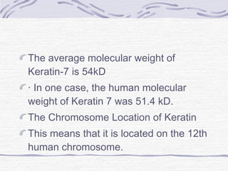 The average molecular weight of
Keratin-7 is 54kD
· In one case, the human molecular
weight of Keratin 7 was 51.4 kD.
The Chromosome Location of Keratin
This means that it is located on the 12th
human chromosome.
 