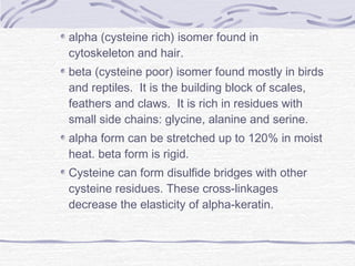 alpha (cysteine rich) isomer found in
cytoskeleton and hair.
beta (cysteine poor) isomer found mostly in birds
and reptiles. It is the building block of scales,
feathers and claws. It is rich in residues with
small side chains: glycine, alanine and serine.
alpha form can be stretched up to 120% in moist
heat. beta form is rigid.
Cysteine can form disulfide bridges with other
cysteine residues. These cross-linkages
decrease the elasticity of alpha-keratin.
 