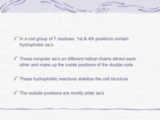 In a coil group of 7 residues, 1st & 4th positions contain
hydrophobic aa’s
These nonpolar aa’s on different helical chains attract each
other and make up the inside positions of the double coils
These hydrophobic reactions stabilize the coil structure
The outside positions are mostly polar aa’s
 