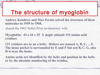 The structure of myoglobin
Andrew Kendrew and Max Perutz solved the structure of these
molecules in 1959 to 1968.
Myoglobin: 44 x 44 x 25 Å single subunit 153 amino acid
residues
121 residues are in an a helix. Helices are named A, B, C, …F.
The heme pocket is surrounded by E and F but not B, C, G, also
H is near the heme.
Amino acids are identified by the helix and position in the helix
or by the absolute numbering of the residue.
shared the 1962 Nobel Prize in chemistry with
 
