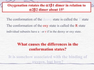 Oxygenation rotates the α1β1 dimer in relation to
α2β2 dimer about 15°
The conformation of the deoxy state is called the T state
The conformation of the oxy state is called the R state
individual subunits have a t or r if in the deoxy or oxy state.
What causes the differences in the
conformation states?
It is somehow associated with the binding of
oxygen, but how?
 
