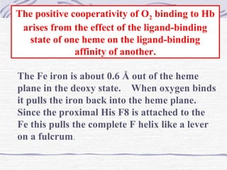 The positive cooperativity of O2 binding to Hb
arises from the effect of the ligand-binding
state of one heme on the ligand-binding
affinity of another.
The Fe iron is about 0.6 Å out of the heme
plane in the deoxy state. When oxygen binds
it pulls the iron back into the heme plane.
Since the proximal His F8 is attached to the
Fe this pulls the complete F helix like a lever
on a fulcrum.
 