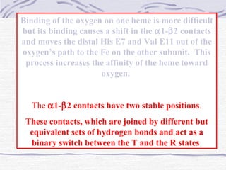 Binding of the oxygen on one heme is more difficult
but its binding causes a shift in the α1-β2 contacts
and moves the distal His E7 and Val E11 out of the
oxygen’s path to the Fe on the other subunit. This
process increases the affinity of the heme toward
oxygen.
The α1-β2 contacts have two stable positions.
These contacts, which are joined by different but
equivalent sets of hydrogen bonds and act as a
binary switch between the T and the R states
 