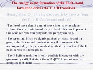 The energy in the formation of the Fe-O2 bond
formation drives the T→ R transition.
Hemoglobins O2 -binding Cooperativity derives from
the T → R Conformational shift.
•The Fe of any subunit cannot move into its heme plane
without the reorientation of its proximal His so as to prevent
this residue from bumping into the porphyrin ring.
•The proximal His is so tightly packed by its surrounding
groups that it can not reorient unless this movement is
accompanied by the previously described translation of the F
helix across the heme plane.
•The F helix translation is only possible in concert with the
quaternary shift that steps the α1C-β2FG contact one turn
along the α1C helix.
 