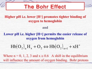 The Bohr Effect
Higher pH i.e. lower [H+
] promotes tighter binding of
oxygen to hemoglobin
and
Lower pH i.e. higher [H+] permits the easier release of
oxygen from hemoglobin
( ) ( ) +
+
+⇔+ xHOHbOHOHb 1n22xn2
Where n = 0, 1, 2, 3 and x ≅ 0.6 A shift in the equilibrium
will influence the amount of oxygen binding. Bohr protons
 