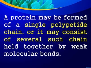 A protein may be formed
of a single polypetide
chain, or it may consist
of several such chain
held together by weak
molecular bonds.
 