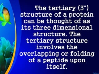 The tertiary (3°)
structure of a protein
can be thought of as
its three dimensional
structure. The
tertiary structure
involves the
overlapping or folding
of a peptide upon
itself.
 
