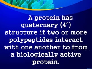 A protein has
quaternary (4°)
structure if two or more
polypeptides interact
with one another to from
a biologically active
protein.
 