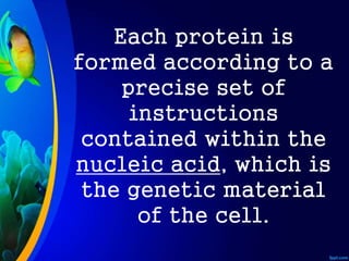 Each protein is
formed according to a
precise set of
instructions
contained within the
nucleic acid, which is
the genetic material
of the cell.
 