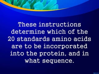 These instructions
determine which of the
20 standards amino acids
are to be incorporated
into the protein, and in
what sequence.
 