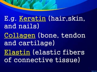 E.g. Keratin (hair,skin,
and nails)
Collagen (bone, tendon
and cartilage)
Elastin (elastic fibers
of connective tissue)
 