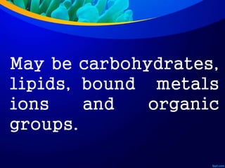 May be carbohydrates,
lipids, bound metals
ions and organic
groups.
 