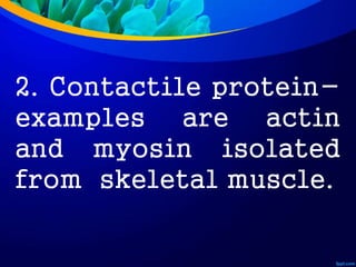 2. Contactile protein-
examples are actin
and myosin isolated
from skeletal muscle.
 