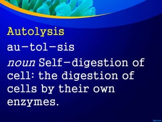 Autolysis
au-tol-sis
noun Self-digestion of
cell: the digestion of
cells by their own
enzymes.
 
