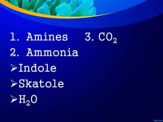 1. Amines
2. Ammonia
Indole
Skatole
H2O
3. CO2
 