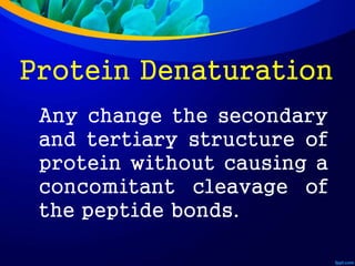 Protein Denaturation
Any change the secondary
and tertiary structure of
protein without causing a
concomitant cleavage of
the peptide bonds.
 