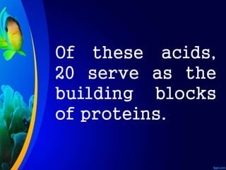 Of these acids,
20 serve as the
building blocks
of proteins.
 