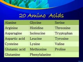 20 Amino Acids
Alanine Glycine Serine
Arginine Histidine Threonine
Asparagine Isoleucine Tryptophan
Aspartic acid Leucine Tyrosine
Cysteine Lysine Valine
Glutamic acid Methionine Proline
Glutamine Phenylalanine
 
