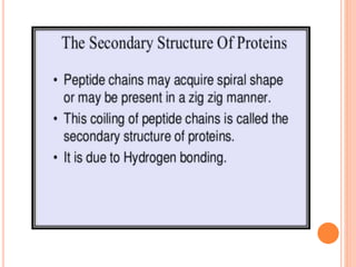 Proteins | PPTX
