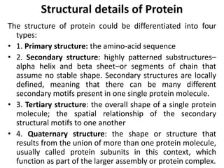 Protein- An Essential element | PPTX