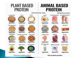Proteins | PPT