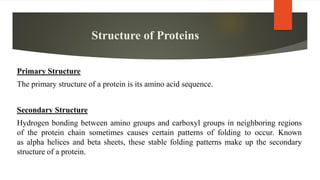 Structure of Proteins
Primary Structure
The primary structure of a protein is its amino acid sequence.
Secondary Structure
Hydrogen bonding between amino groups and carboxyl groups in neighboring regions
of the protein chain sometimes causes certain patterns of folding to occur. Known
as alpha helices and beta sheets, these stable folding patterns make up the secondary
structure of a protein.
 