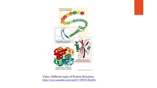 Video: Different types of Protein Structures
https://www.youtube.com/watch?v=PPJ7C3hcnPw
 