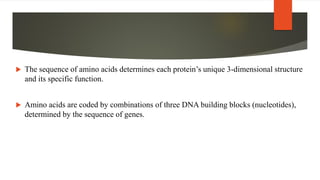  The sequence of amino acids determines each protein’s unique 3-dimensional structure
and its specific function.
 Amino acids are coded by combinations of three DNA building blocks (nucleotides),
determined by the sequence of genes.
 