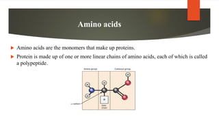 Amino acids
 Amino acids are the monomers that make up proteins.
 Protein is made up of one or more linear chains of amino acids, each of which is called
a polypeptide.
 