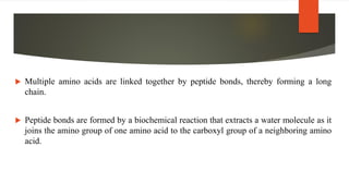  Multiple amino acids are linked together by peptide bonds, thereby forming a long
chain.
 Peptide bonds are formed by a biochemical reaction that extracts a water molecule as it
joins the amino group of one amino acid to the carboxyl group of a neighboring amino
acid.
 