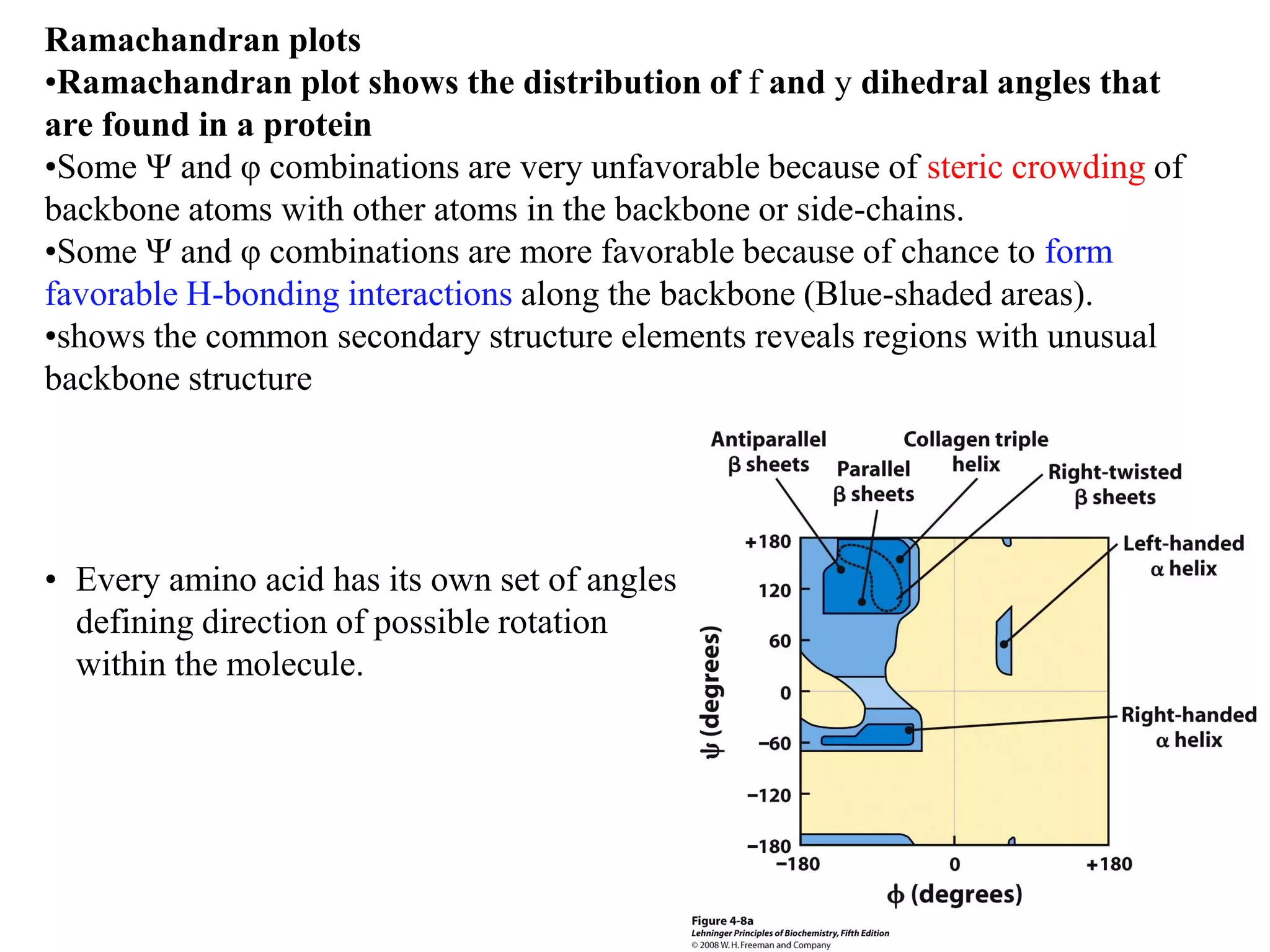 • Every amino acid has its own set of angles
defining direction of possible rotation
within the molecule.
Ramachandran plots
•Ramachandran plot shows the distribution of f and y dihedral angles that
are found in a protein
•Some Ψ and φ combinations are very unfavorable because of steric crowding of
backbone atoms with other atoms in the backbone or side-chains.
•Some Ψ and φ combinations are more favorable because of chance to form
favorable H-bonding interactions along the backbone (Blue-shaded areas).
•shows the common secondary structure elements reveals regions with unusual
backbone structure
 