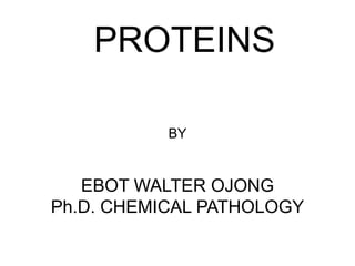 BY
EBOT WALTER OJONG
Ph.D. CHEMICAL PATHOLOGY
PROTEINS
 