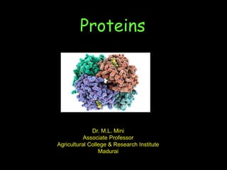Proteins
Dr. M.L. Mini
Associate Professor
Agricultural College & Research Institute
Madurai
 