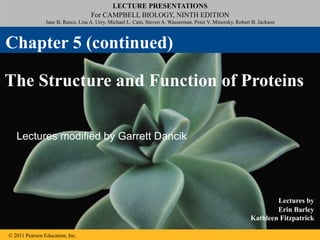 LECTURE PRESENTATIONS
For CAMPBELL BIOLOGY, NINTH EDITION
Jane B. Reece, Lisa A. Urry, Michael L. Cain, Steven A. Wasserman, Peter V. Minorsky, Robert B. Jackson
© 2011 Pearson Education, Inc.
Lectures by
Erin Barley
Kathleen Fitzpatrick
The Structure and Function of Proteins
Chapter 5 (continued)
Lectures modified by Garrett Dancik
 