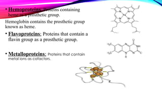 • Hemoproteins: Proteins containing
heme as a prosthetic group.
Hemoglobin contains the prosthetic group
known as heme.
• Flavoproteins: Proteins that contain a
flavin group as a prosthetic group.
• Metalloproteins: Proteins that contain
metal ions as cofactors.
 