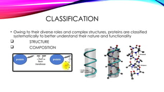 CLASSIFICATION
• Owing to their diverse roles and complex structures, proteins are classified
systematically to better understand their nature and functionality
 STRUCTURE
 COMPOSITION
 