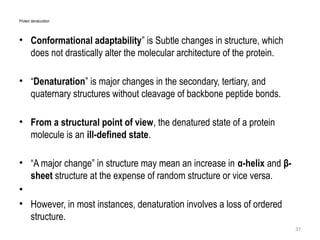 Proteins (Structural VS Functional proteins and their use) | PPTX