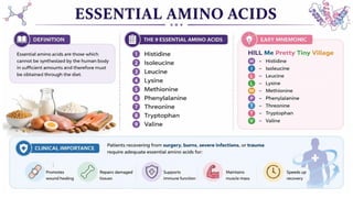 Proteins: Classification, Functions, Sources, Importance & Nutritional Requirements